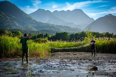 Weitere KFFÖ-Projekte